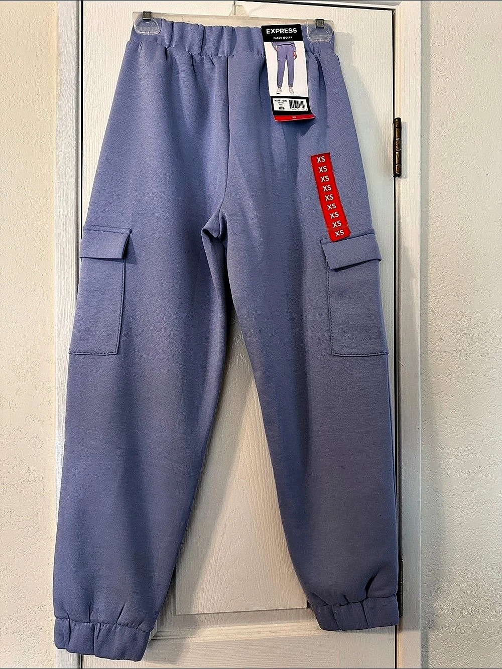 NWT Express Cargo Jogger Purple Size XS